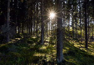 Purely Nordic - Natural Candles Soaps and other beautiful nature inspired products