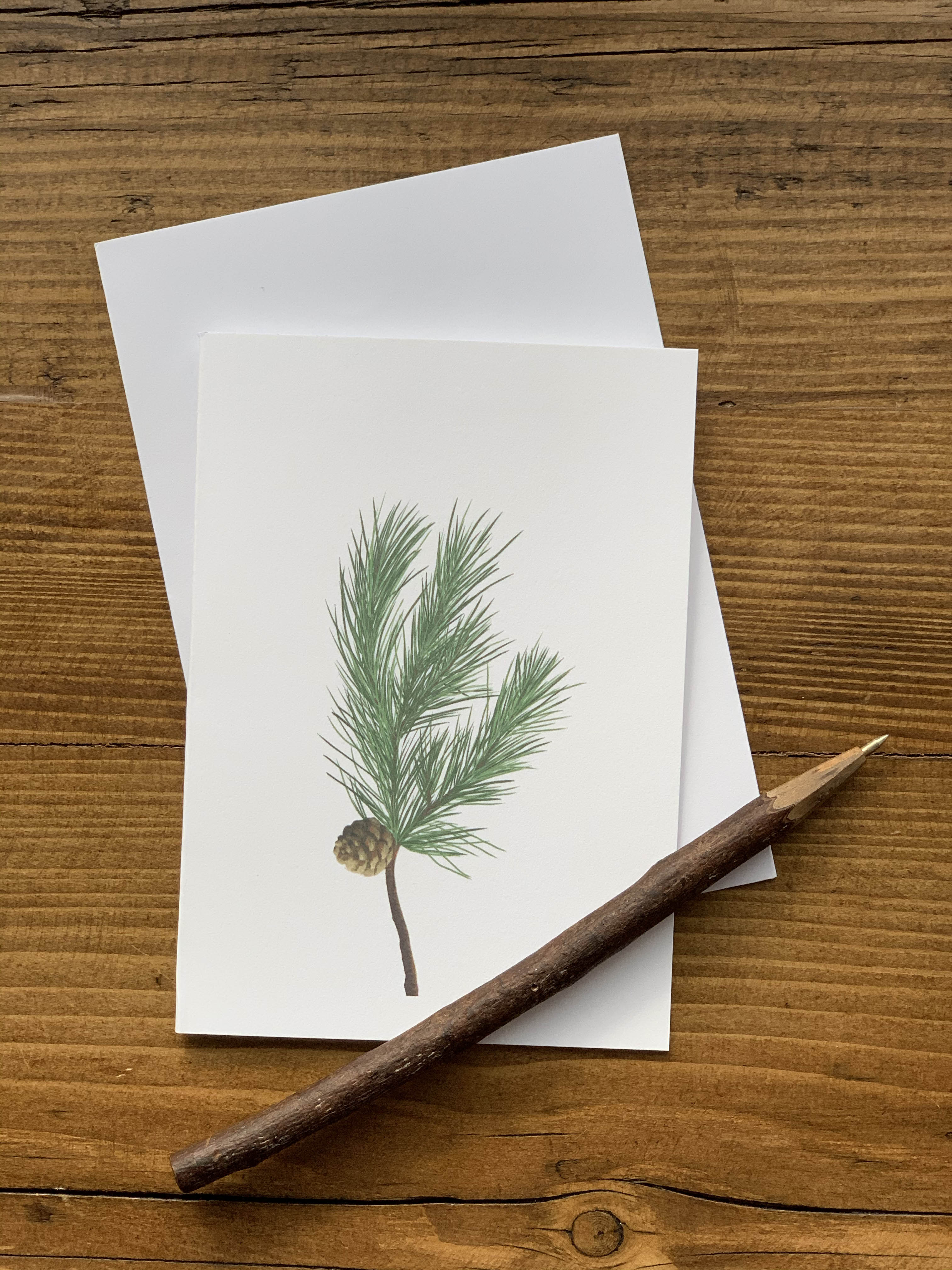 Pine Notecards - Pack of 5